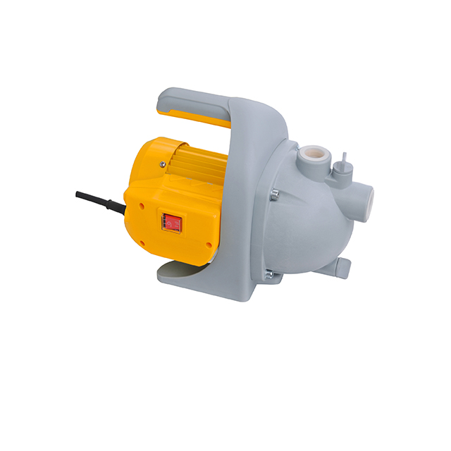 BOMBA DE JARDIN 1 "600W